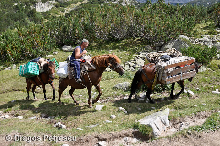 /Pirin/_dsc0401.jpg