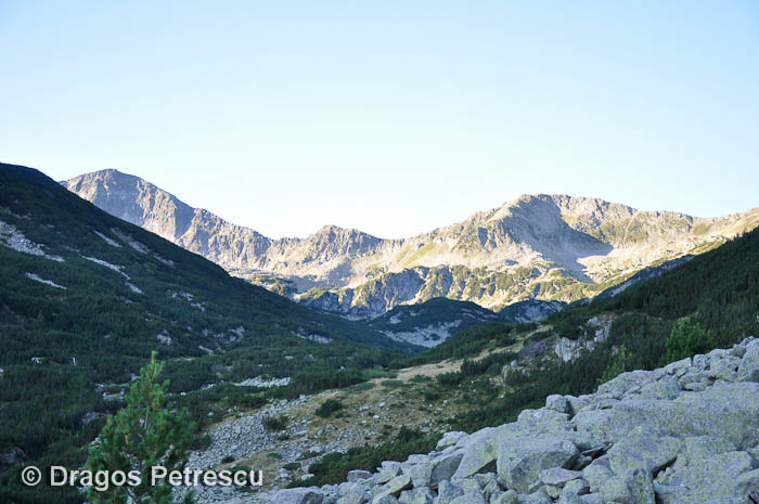 /Pirin/_dsc0489.jpg