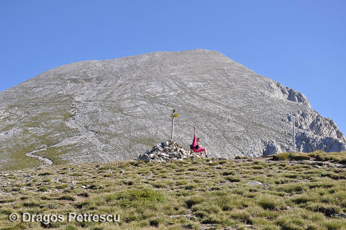 /Pirin/_dsc0513.jpg