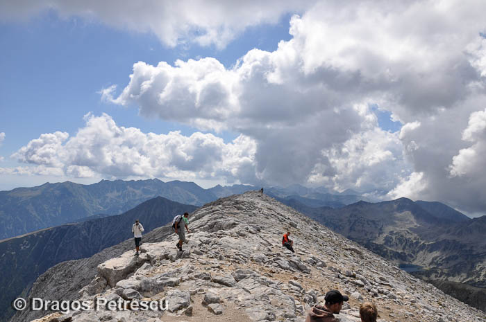 /Pirin/_dsc0556.jpg
