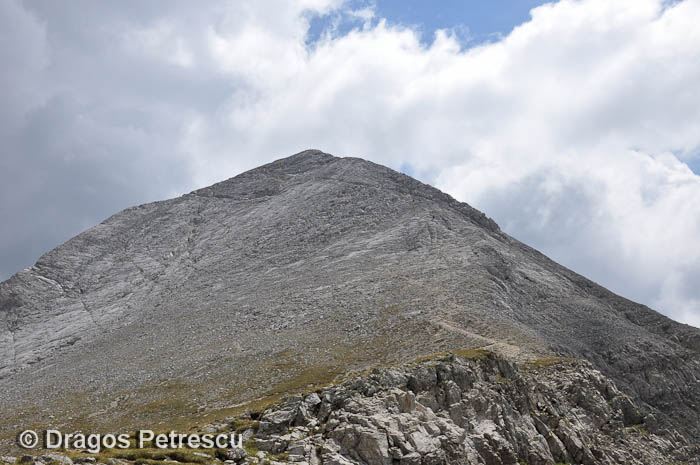 /Pirin/_dsc0608.jpg