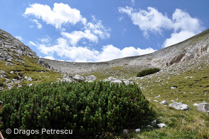 /Pirin/_dsc0670.jpg