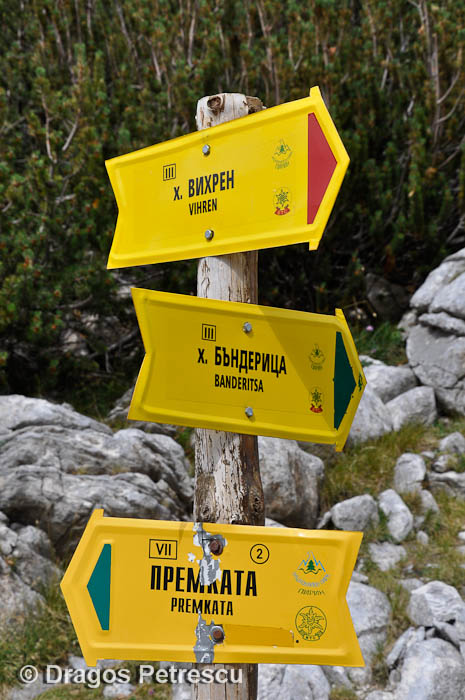 /Pirin/_dsc0684.jpg