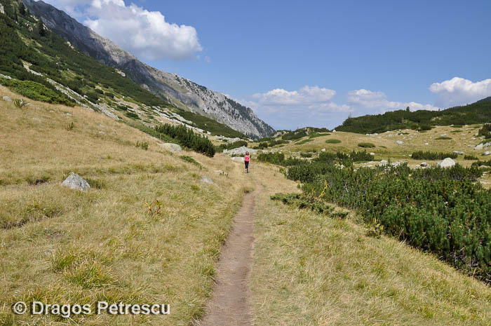 /Pirin/_dsc0811.jpg