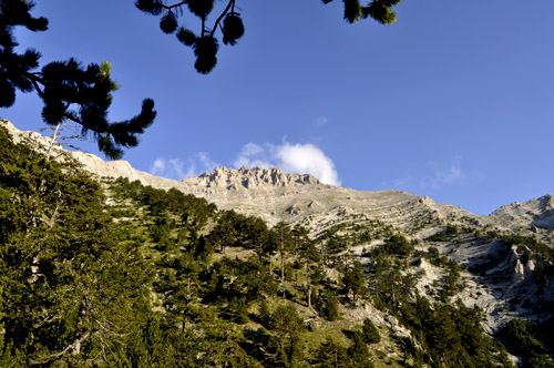 Carpati.org