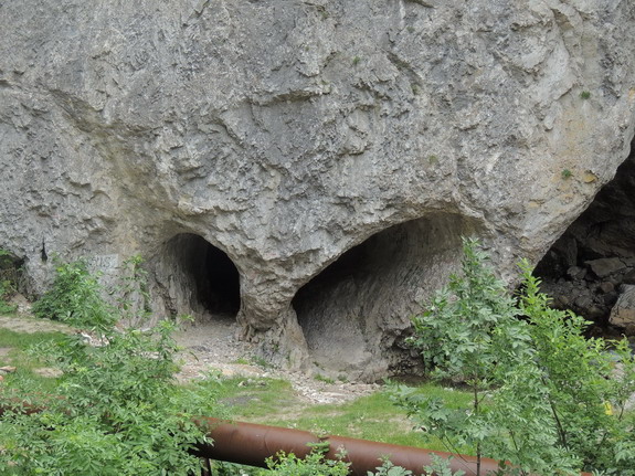 /pesteri/dscn1731.jpg