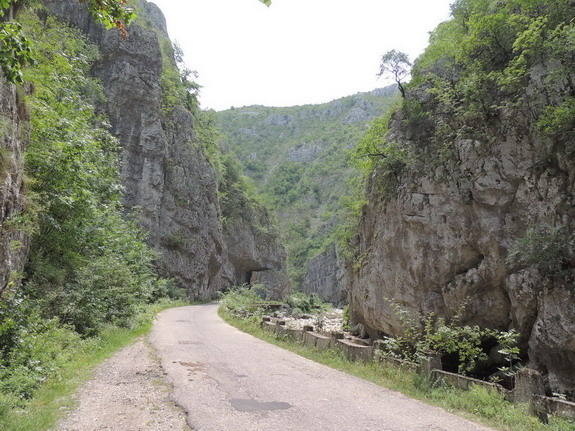 /pesteri/dscn1734.jpg
