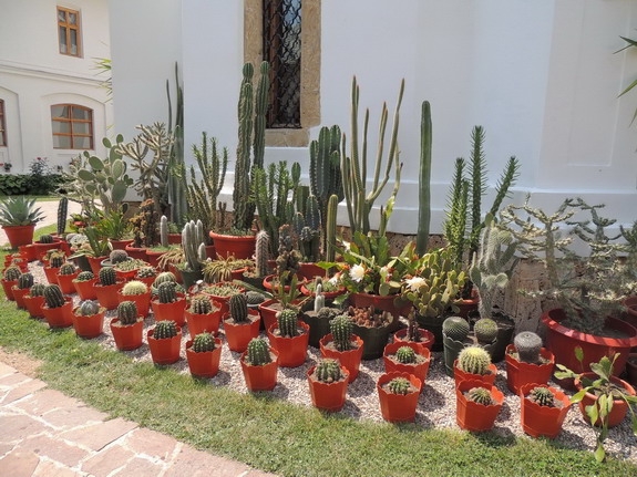 /pesteri/dscn1751.jpg