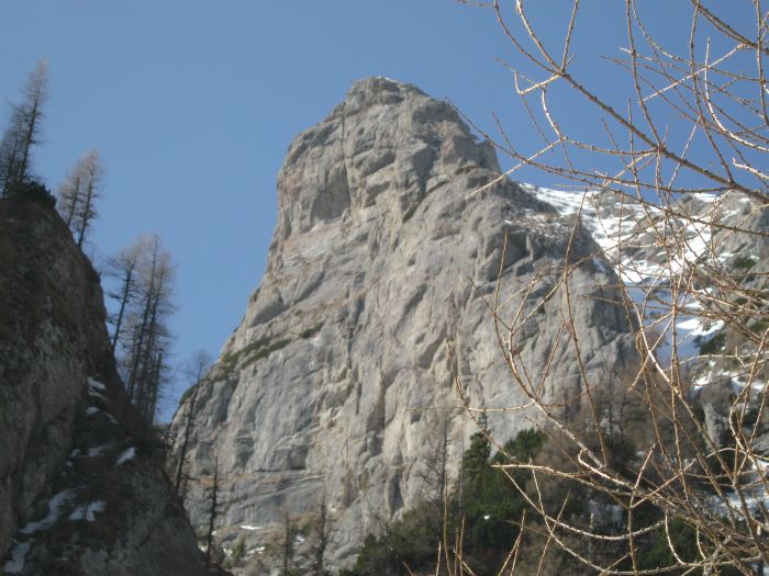 /Costila/img_3593.jpg