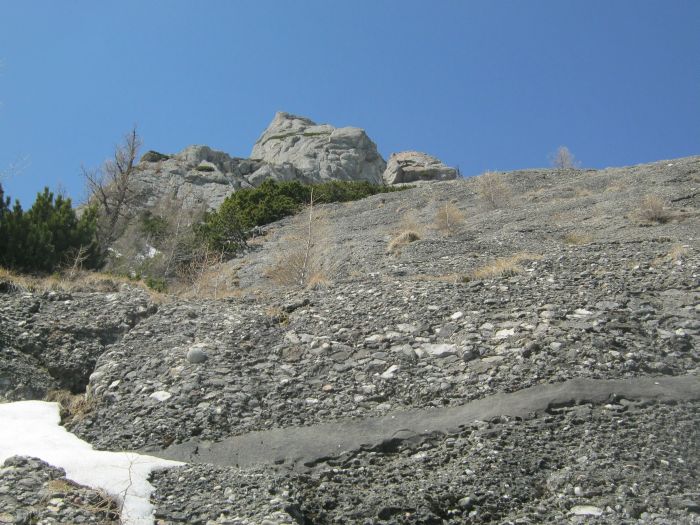 /Costila/img_3598.jpg