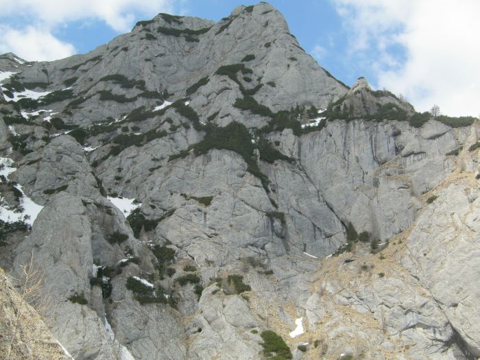 /Costila/img_3611.jpg