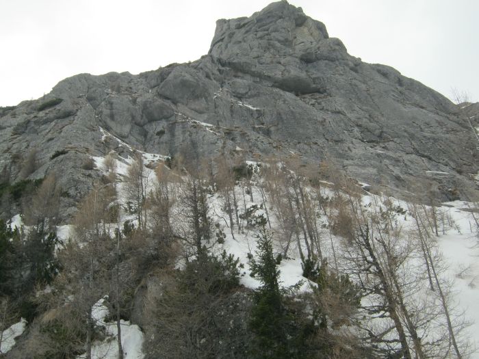 /Costila/img_3615.jpg