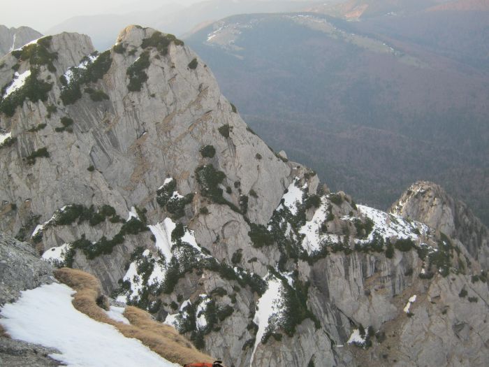 /Costila/img_3667.jpg