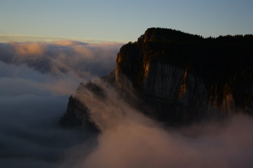 /Oct2010/img_7006.jpg