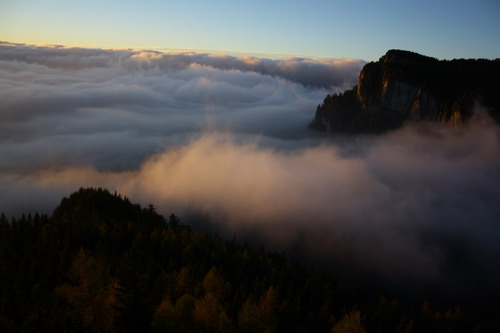 /Oct2010/img_7008.jpg