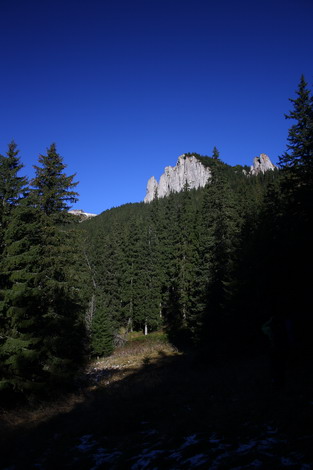 /Oct2010/img_7033.jpg
