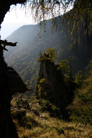 /Oct2010/img_7050.jpg