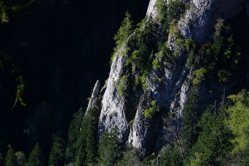 /Oct2010/img_7070.jpg