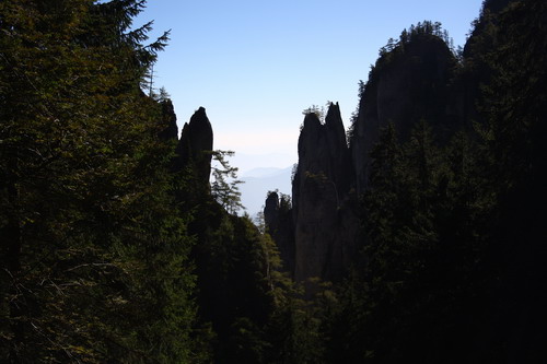 /Oct2010/img_7110.jpg