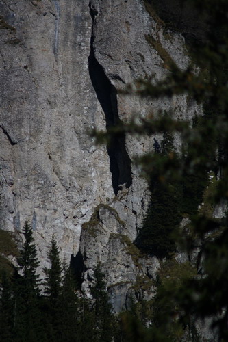 /Oct2010/img_7117.jpg