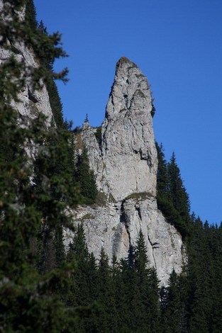 /Oct2010/img_7119.jpg