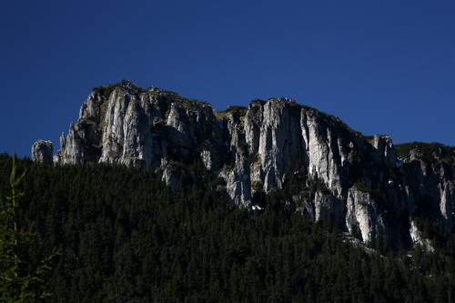 /Oct2010/img_7141.jpg