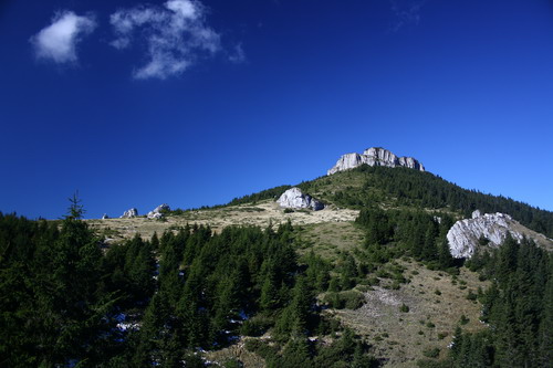 /Oct2010/img_7187.jpg