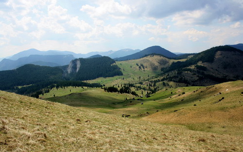 Carpati.org