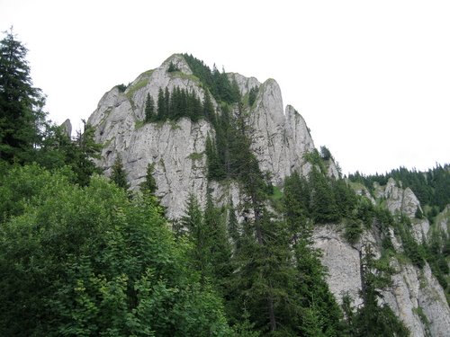 Carpati.org
