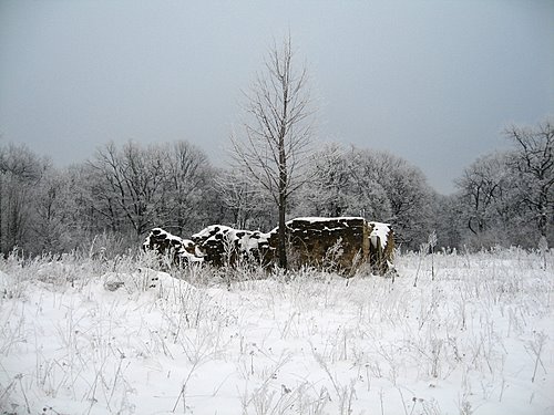 Carpati.org