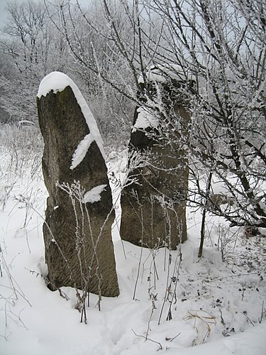 Carpati.org