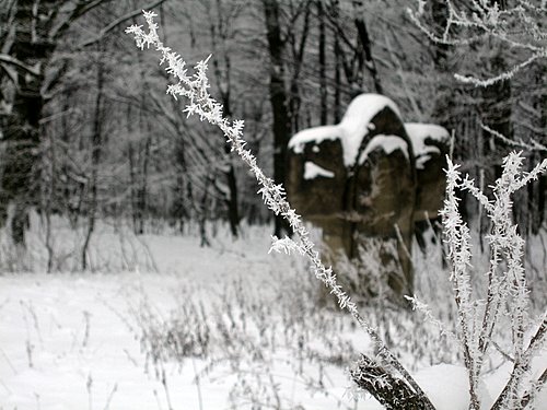 Carpati.org