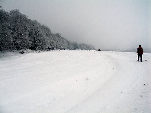Carpati.org