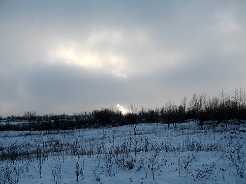 Carpati.org