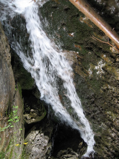 Carpati.org
