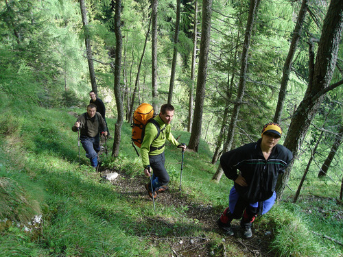 Carpati.org