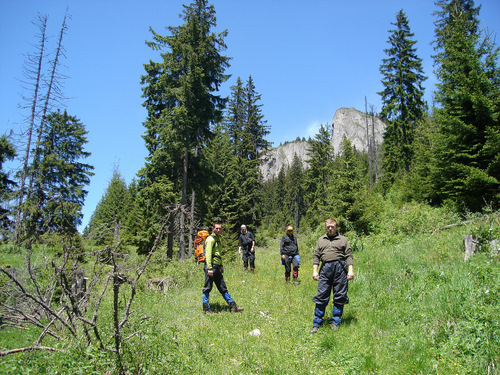 Carpati.org