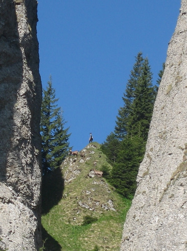 Carpati.org