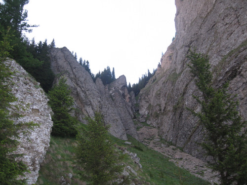 Carpati.org