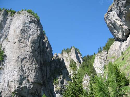 Carpati.org