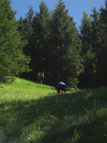 Carpati.org
