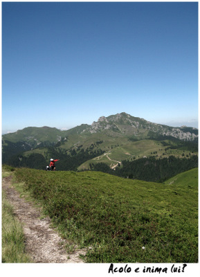Carpati.org