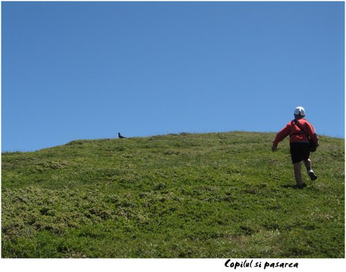 Carpati.org
