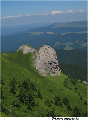 Carpati.org