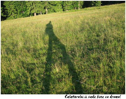 Carpati.org