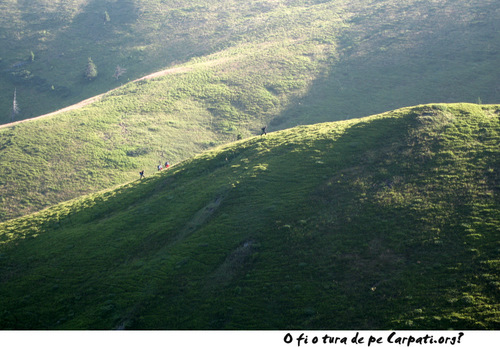 Carpati.org