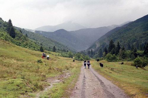 Carpati.org