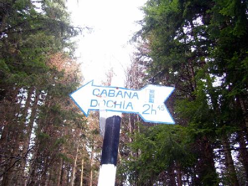 Carpati.org