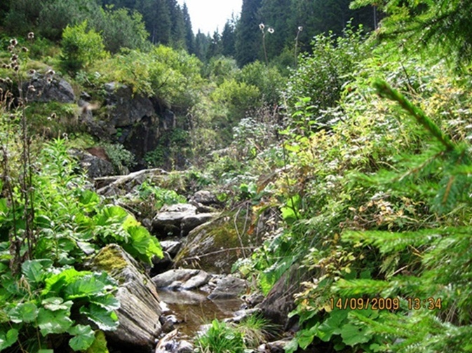 /Splendori/14-img_2674.jpg