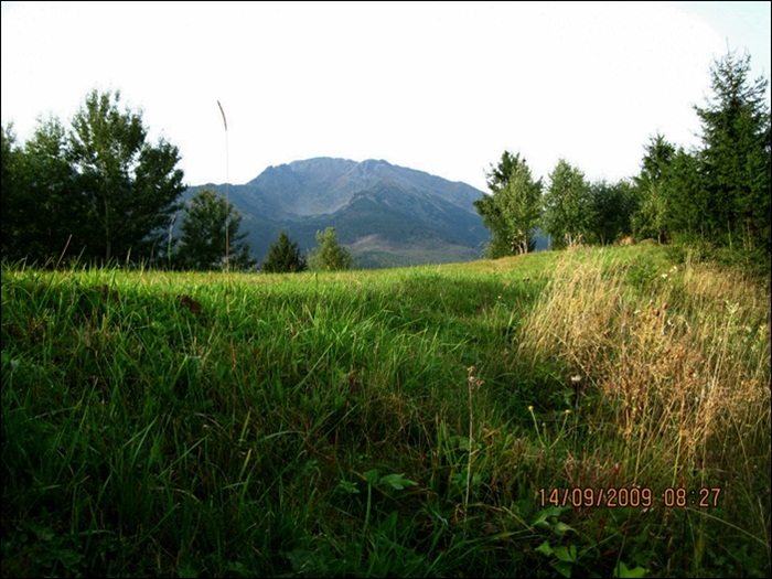 /Splendori/2-img_2605.jpg